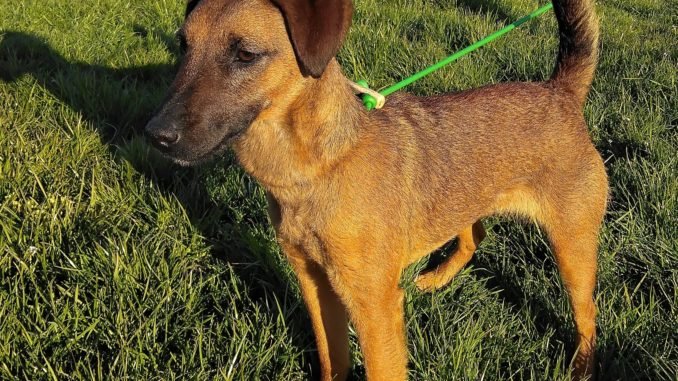 Read more about the article How can I cut costs without cutting fun?